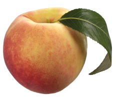 11-2-peach-free-download-png