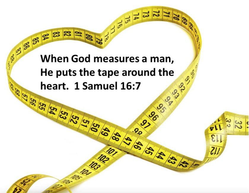 Heart Measureb