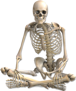 skeleton