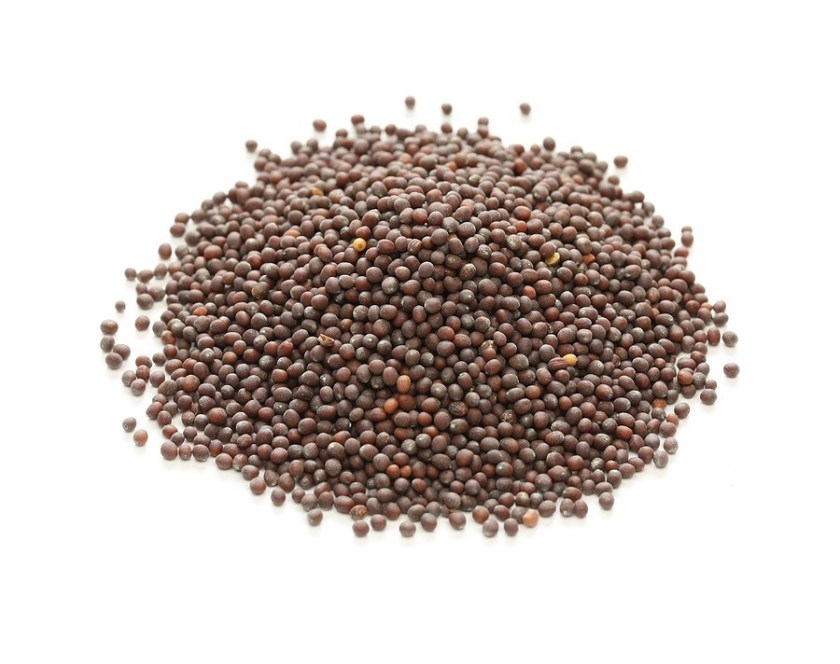 brown mustard seeds, indian spice